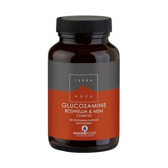 TERRANOVA Glucosamine, Boswellia & ΜSM Complex - Joint Support 1