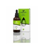 ANAPLASIS ΜΕΛΕΝΙΑ ΟΜΟΡΦΙΑ ΕΛΑΙΟ ΡΑΓΑΔΩΝ 50ml