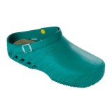 Scholl Clog Evo Unisex Green F265631361