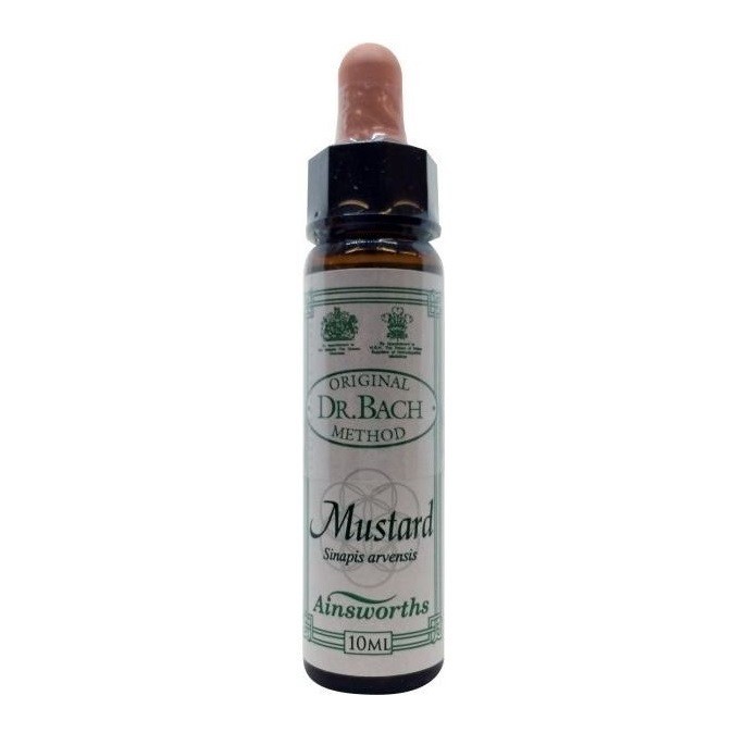 AINSWORTHS-MUSTARD 10ml