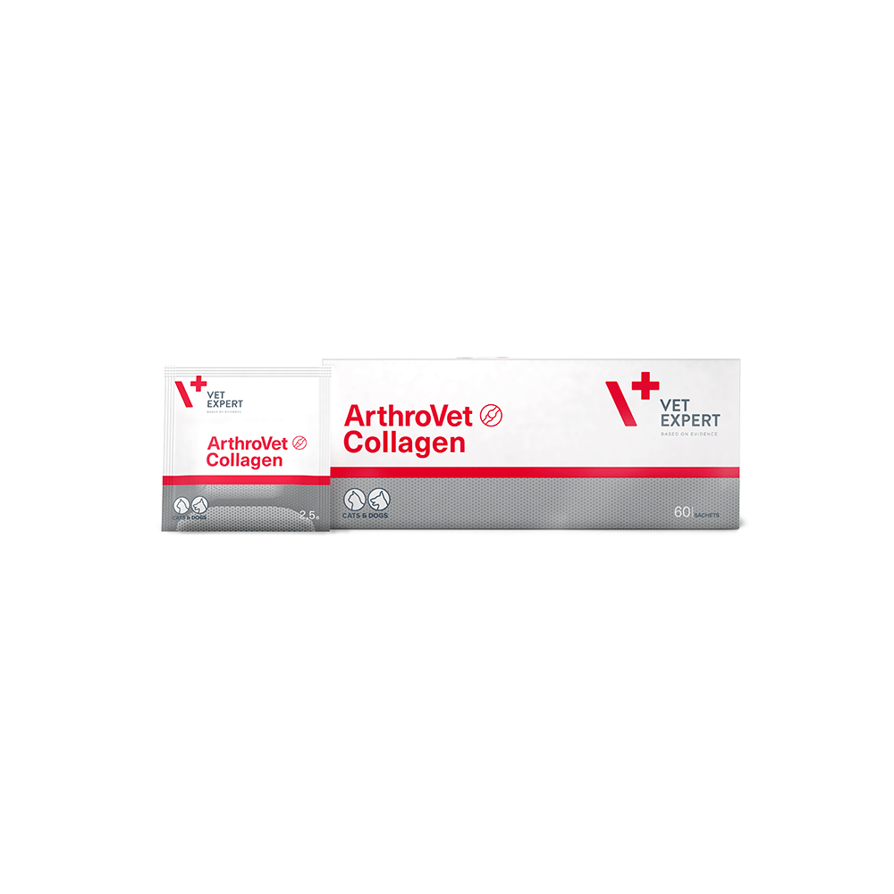 VETEXPERT ArhtroVet Collagen 60 sachets