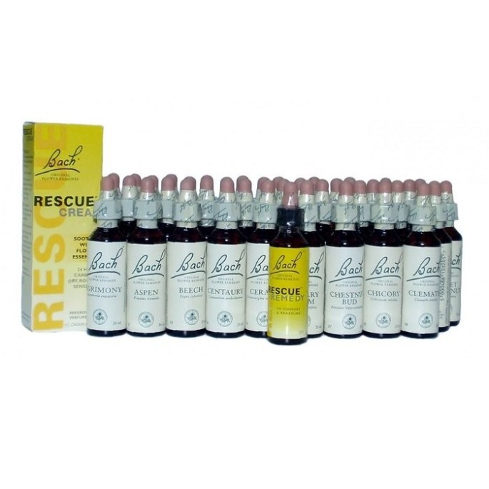 Bach Chicory, 20 ml