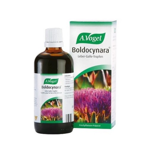 Alfred Vogel Boldocynara For Digestion 50ml