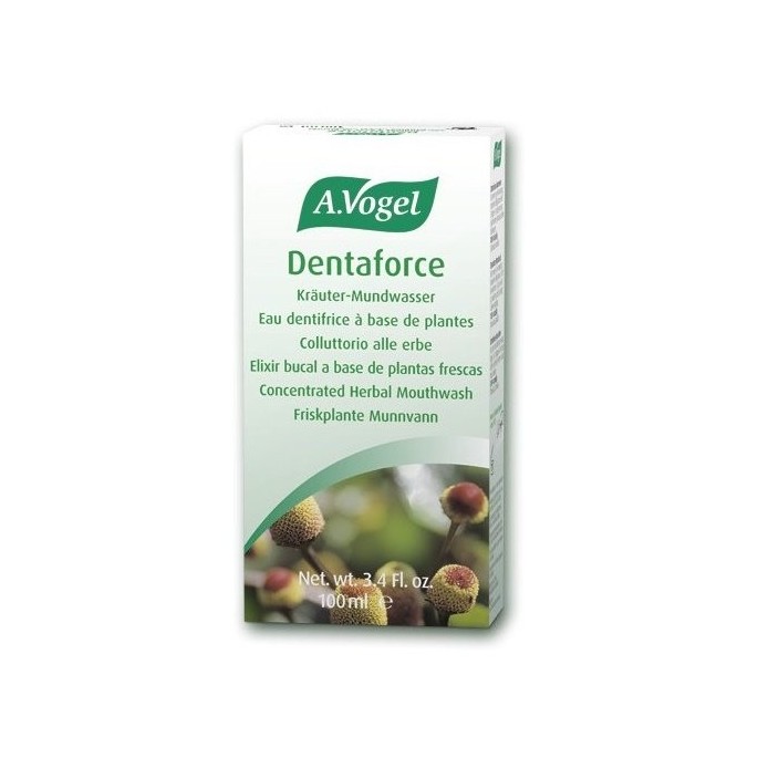 Alfred Vogel Crystal Spring Spray Deo 100ml