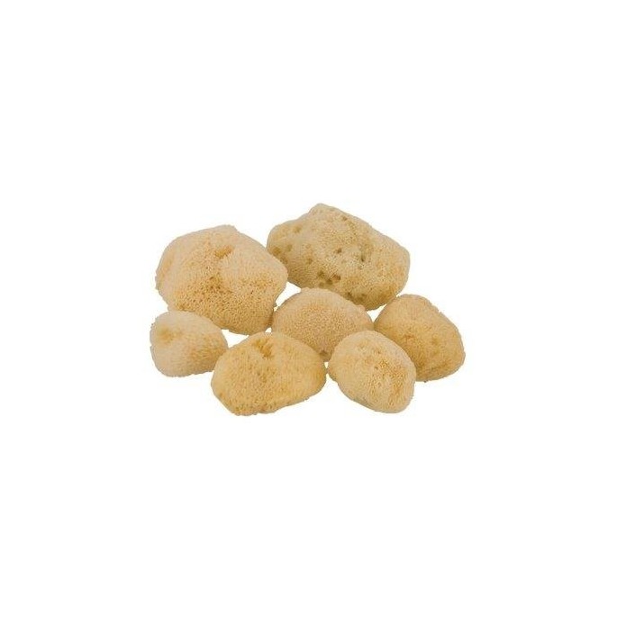 Greek Natural Sea Sponge No 4 Fine