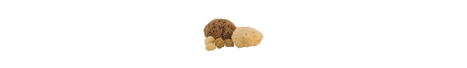 Natural Sea Sponge