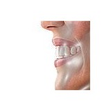 Oral Care